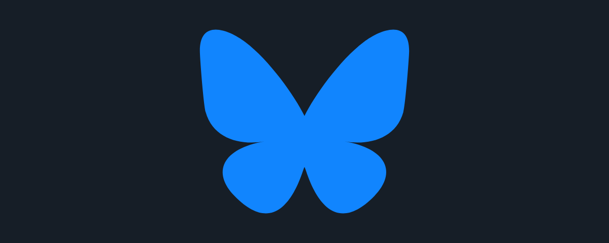 banner bsky logo